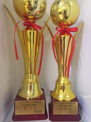 我校学生在2017年江西省大学生网球比赛中获