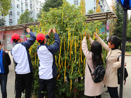 校青年志愿者指导中心组织开展感恩系列宣传活