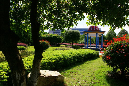 灵秀的江南,律动的校园(图)-九江学院校园网