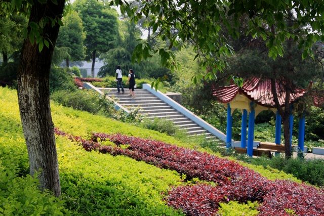 校园风景-九江学院校园网